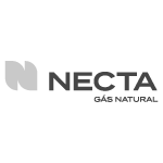 logo_necta